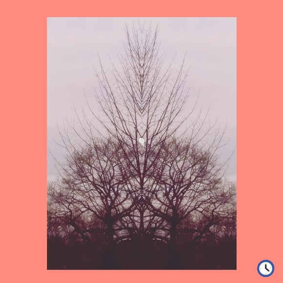 Spring closet updates - Picture 7 of 7